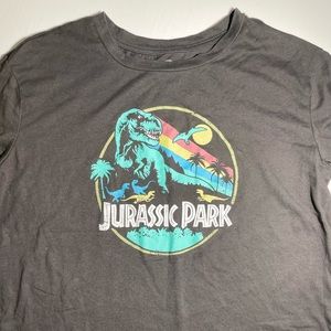 Jurassic Park Grey Graphic Short Sleeve T Shirt